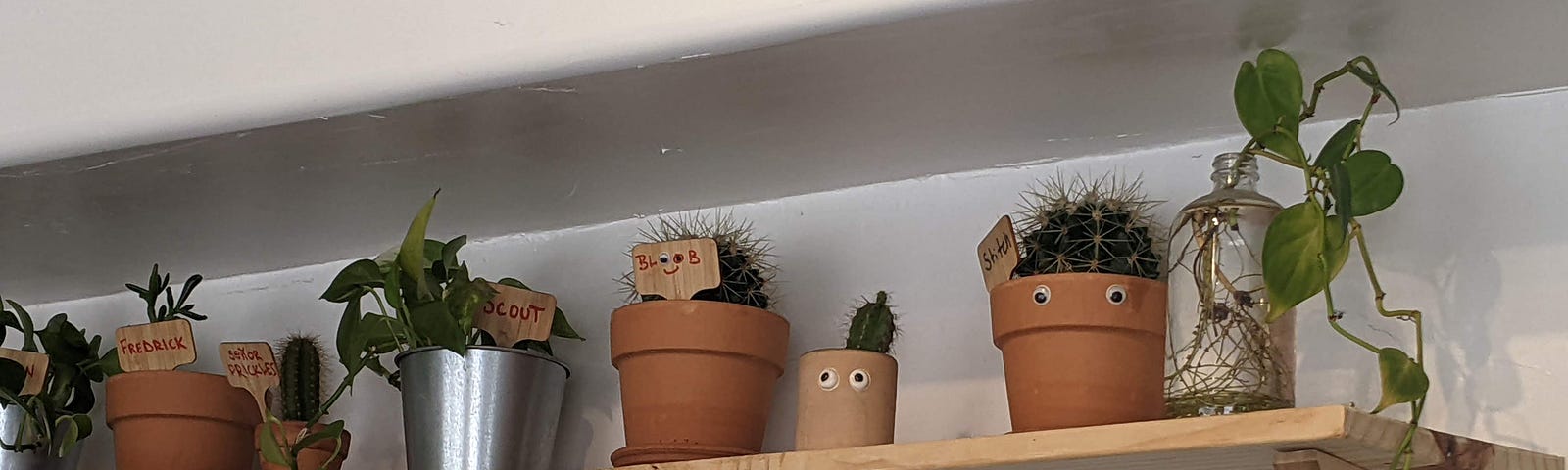 A bunch of planters with small plants sit on a wooden shelf. Many of the planters have googly eyes or signs with cute phrases on them.