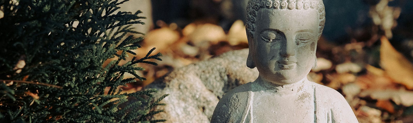 Your Inner Self Medium
