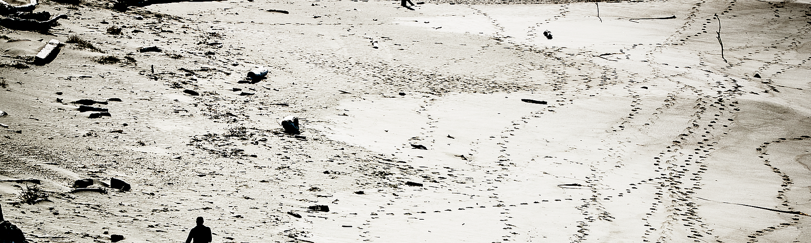 Image of a man on a beach alone wandering.