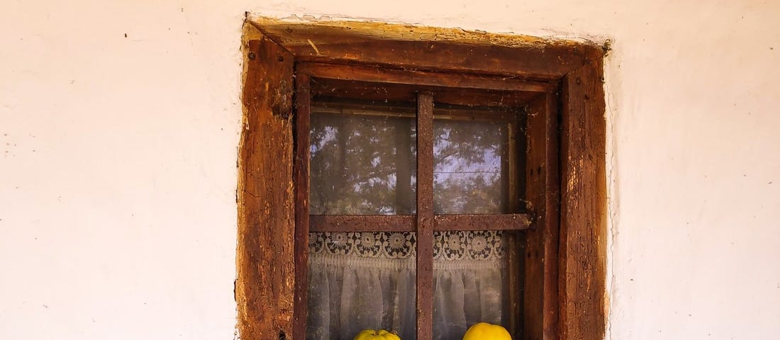 Kindness teaches you how to love yourself — 2 quinces in a window