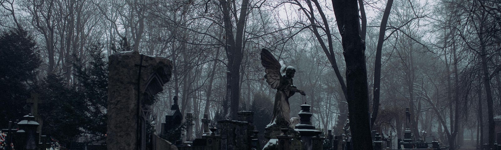 A graveyard. https://www.pexels.com/photo/old-cemetery-with-bare-trees-6495744/