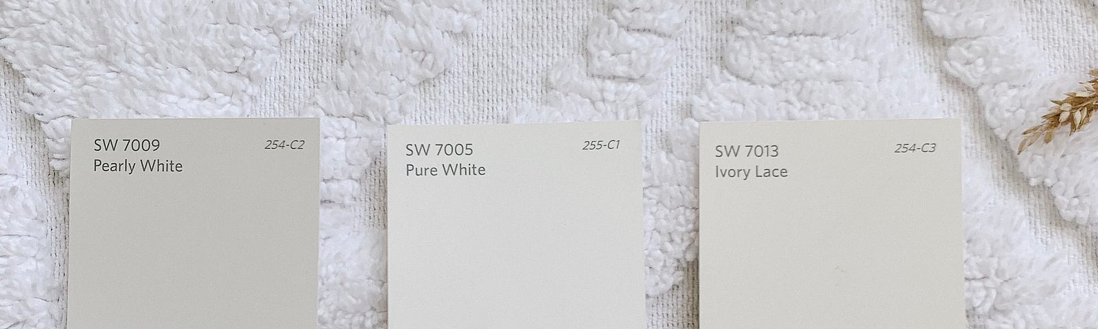 Ivory Lace: A Subtle Symphony of Elegance by Sherwin-Williams
