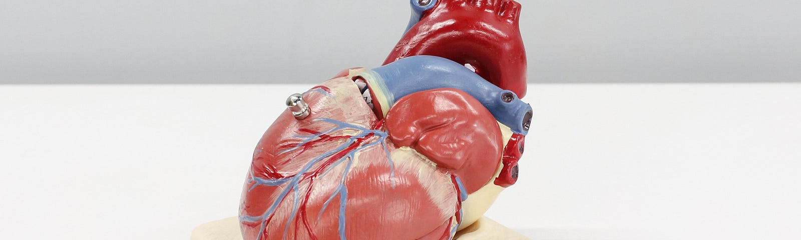 A picture of an artificial heart