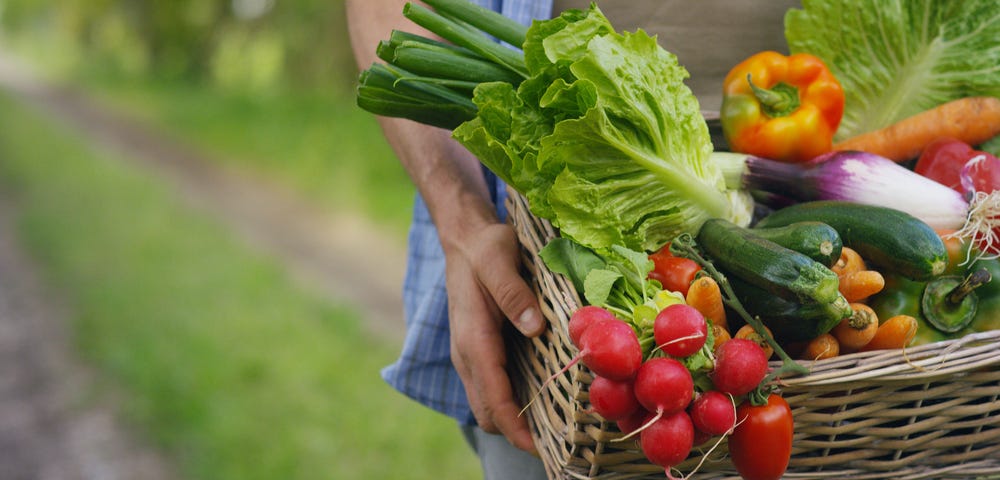 A person holding a basket of vegetables — growing your own food