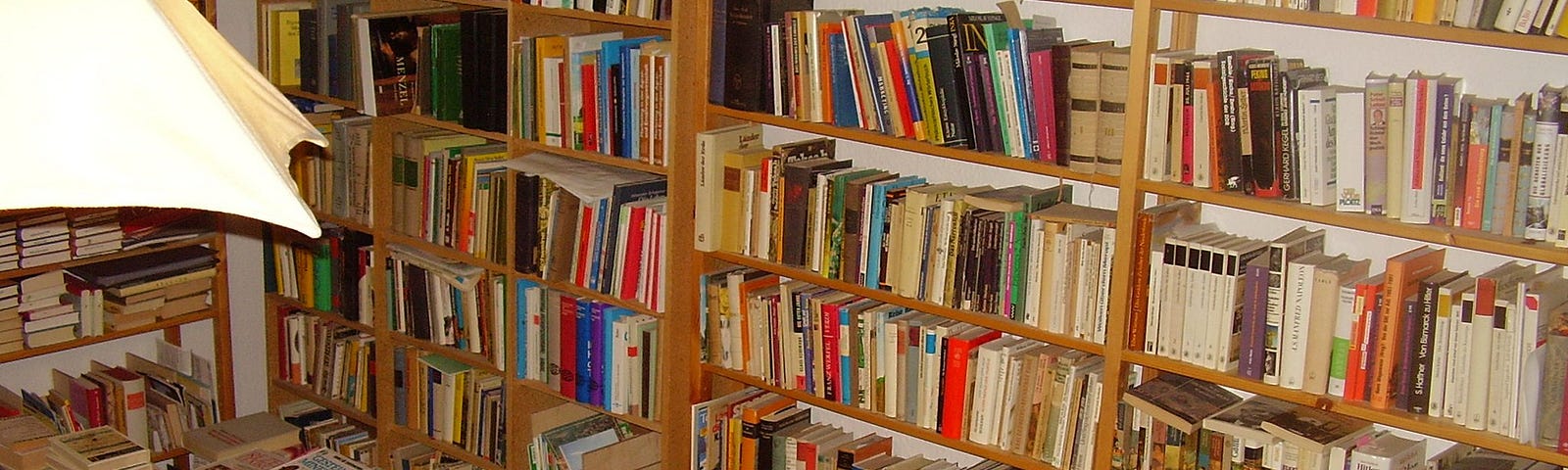 Image of Clutter: A room filled with books packing all bookcases, tables and all along the floor with no room to move or access the bookcase safely