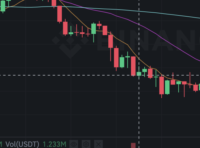 8월 9일 가격 데이터