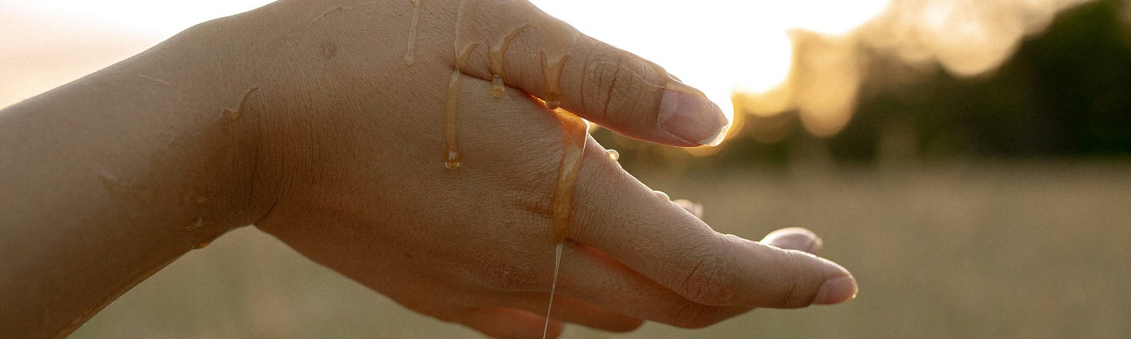 Detail on hands in the sunlight on a meadow.