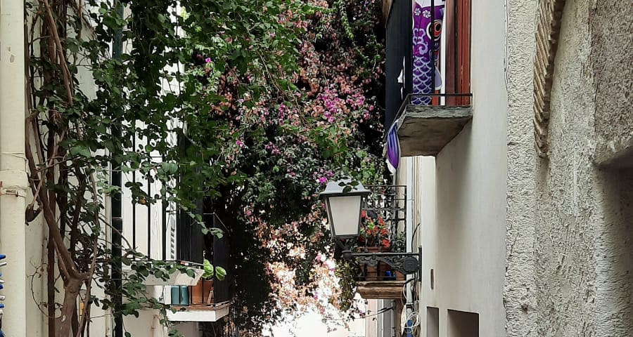 A narrow winding path with buildings and people and flowers.