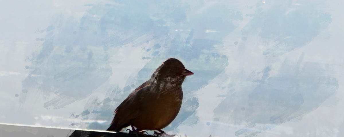 Photo of a Sparrow on a balcony.