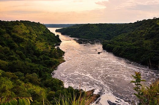 The Nile in Uganda.