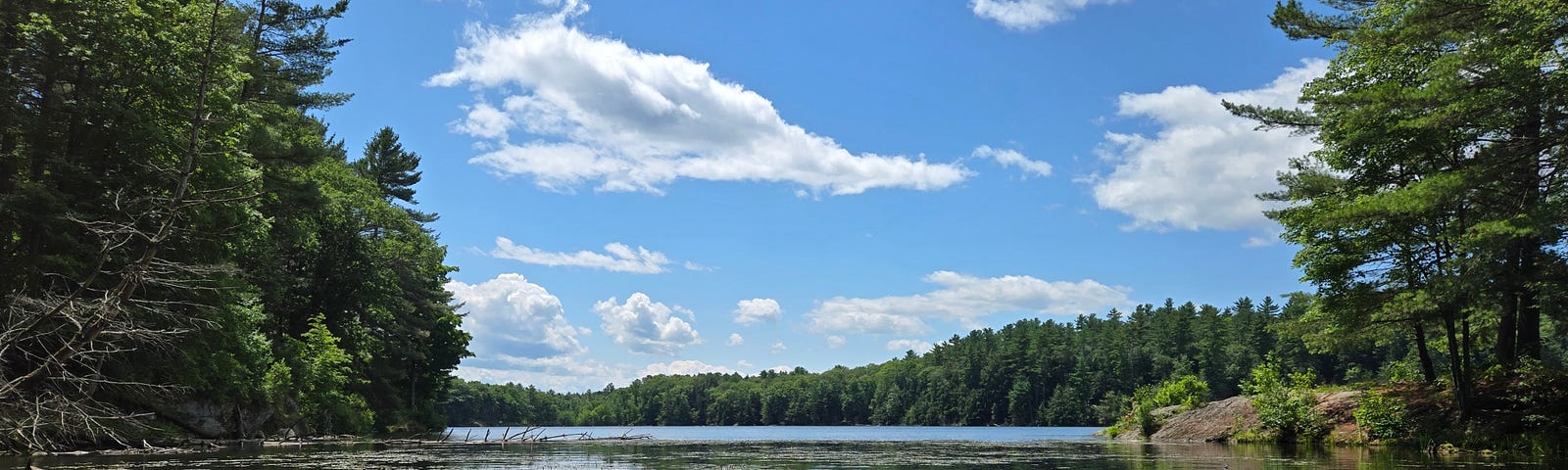 A gorgeous day and the blue sky, filled with puffy clouds, is reflected by the smooth surface of a lake. Conifer trees rise on the banks and on the distant hills. It is peaceful.