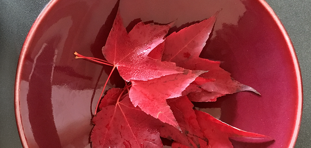 Ceramic bowl holding red maple leaves