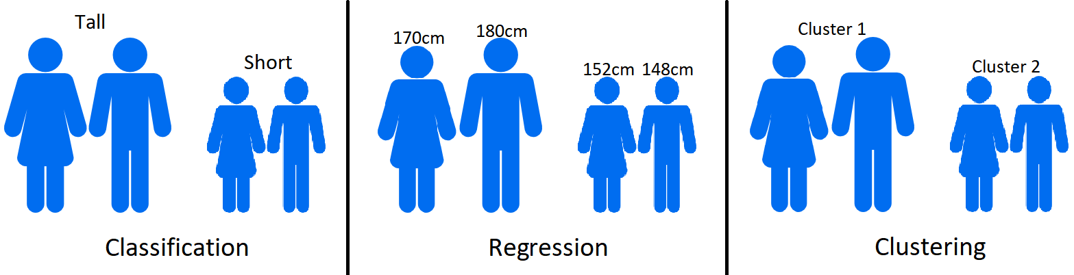 148cm tall