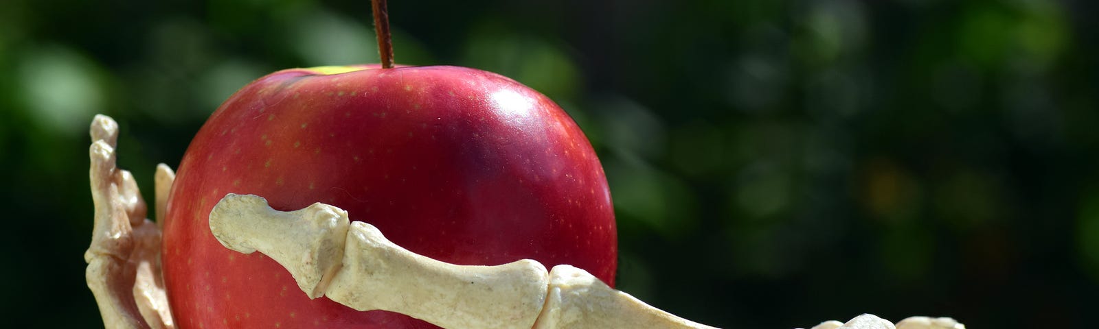 A skeleton hand holding a red apple.