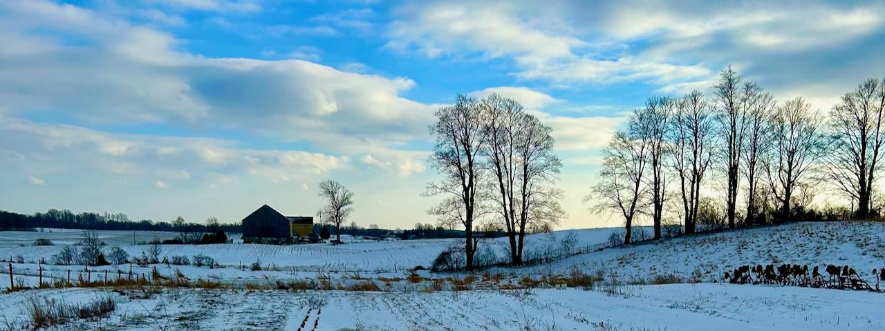 A field covered in snow sits below a blue and clouded sky. Trees appear across the field and a cat is in the forefront.