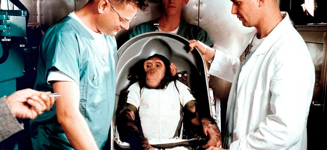 an archival photo of scientists in lab coats and scrubs surrounding a juvenile chimpanzee strapped into a rocket