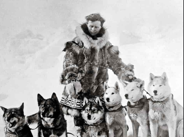 Classic photo of the dogsledding team that includes Balto and Togo.