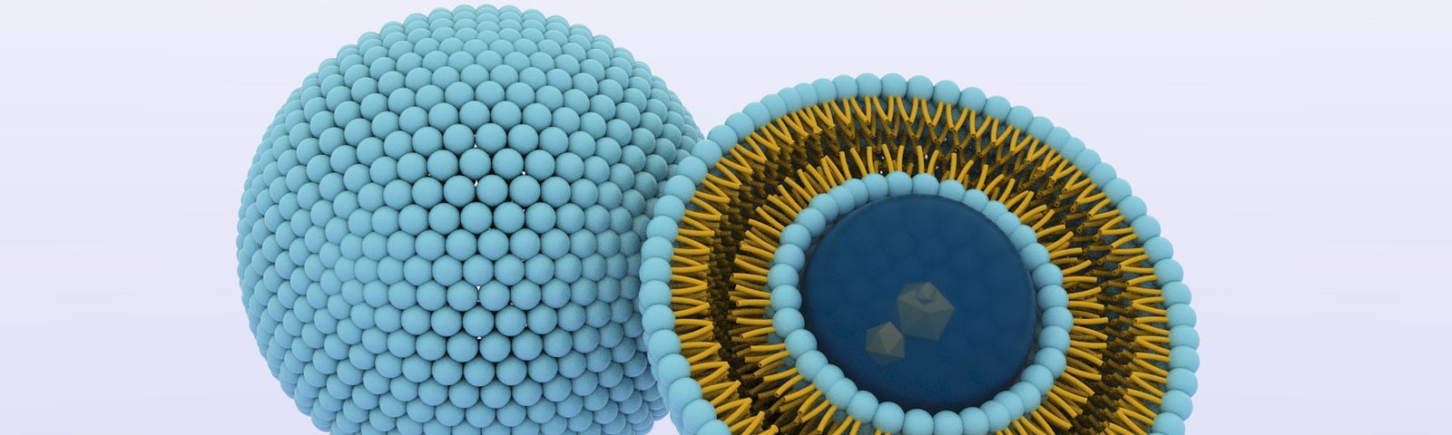 Liposomes. Liposome. Cut in Half. Cell