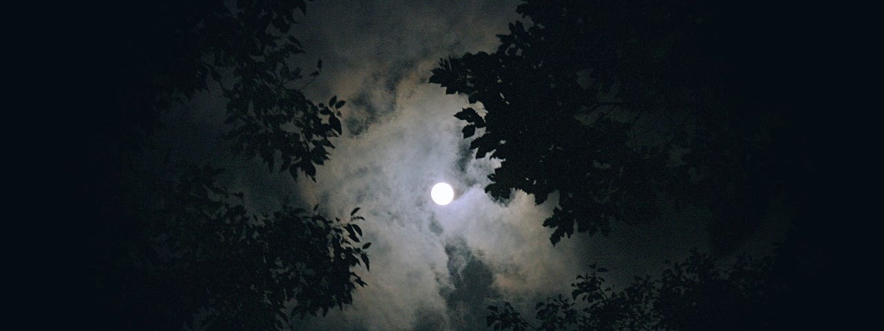 The moon shining through the trees.