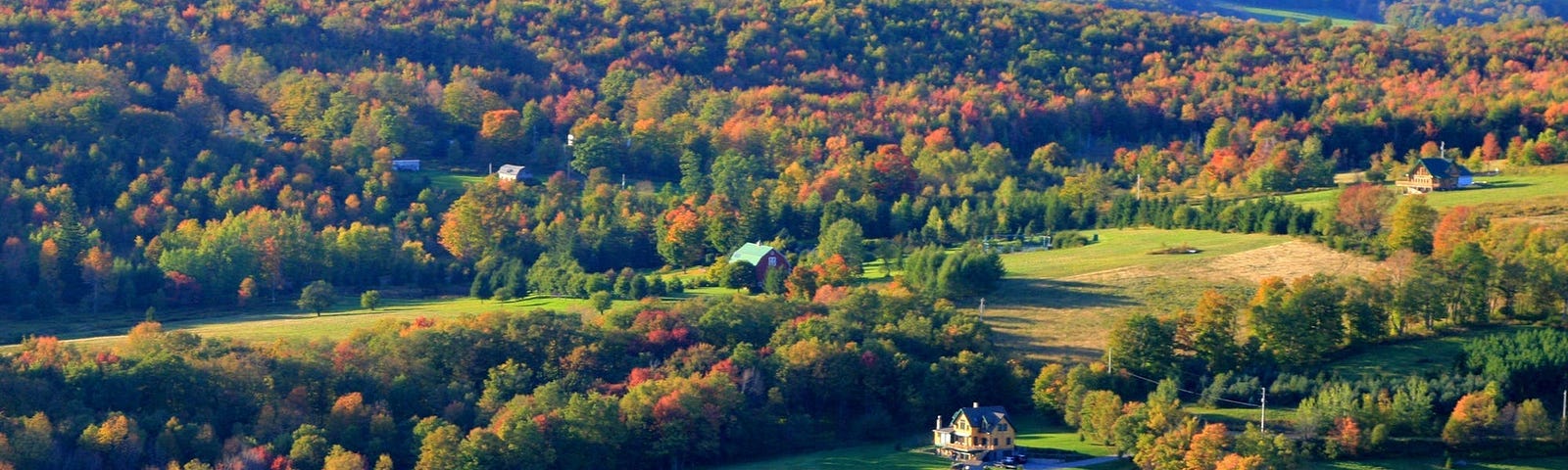 A house in the middle of a large plot of land.