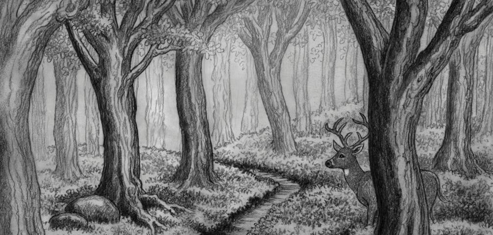 A heavily wooded forest with a stream running through the middle and a partially obscured buck behind a tree. All illustrations are in black and white.