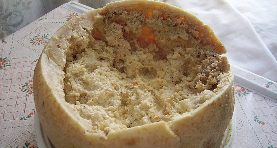 A bowl of Casu Marzu cheese