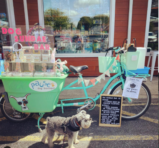 The Doggy Ice Cream Sundae Bar. September 19, 2020 via @pausedogboutique on Instagram