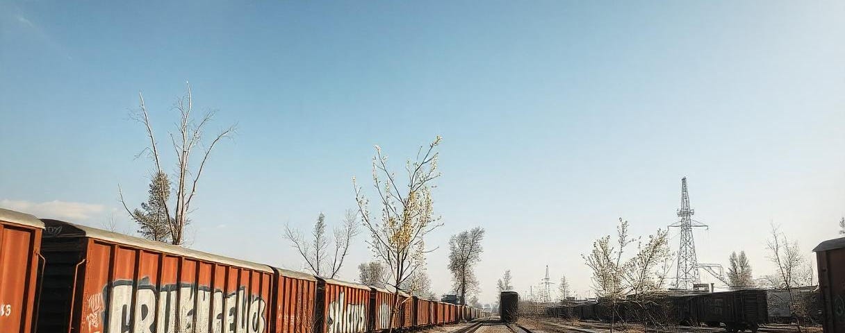 Railway yard, boxcars with spray paint on the sides, spindly trees.