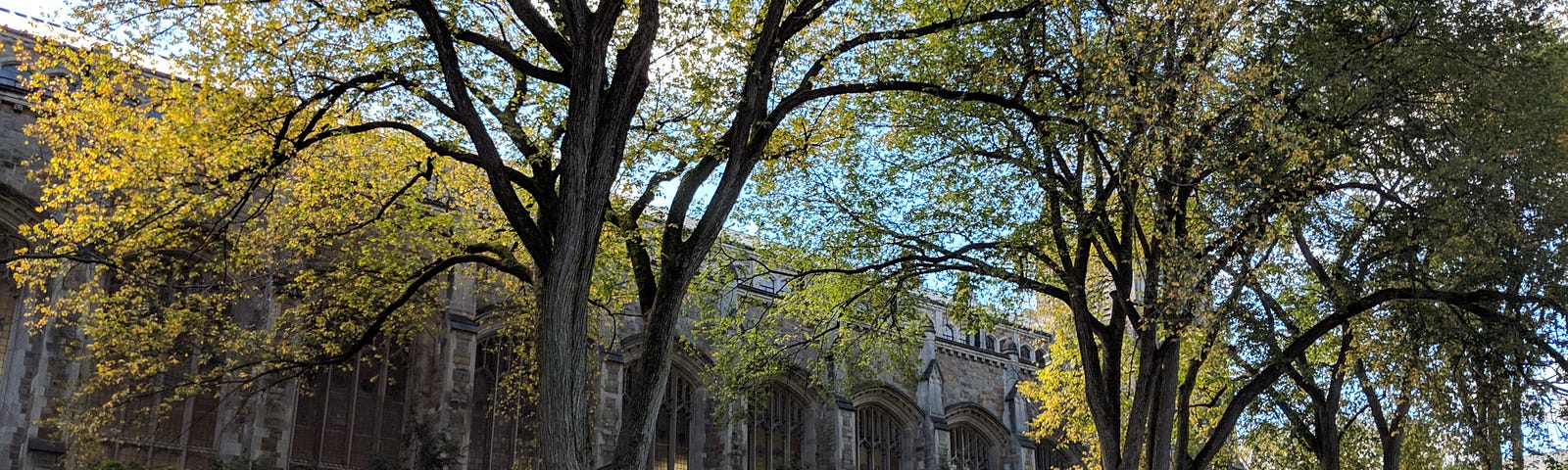 The Law Quad at the University of Michigan campus during the fall.