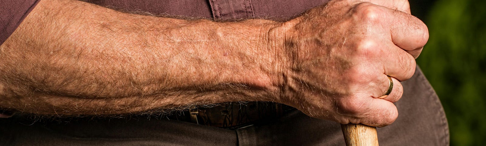 Close-up color photo of an older, but robust, man’s arm and fist gripping a walking stick.