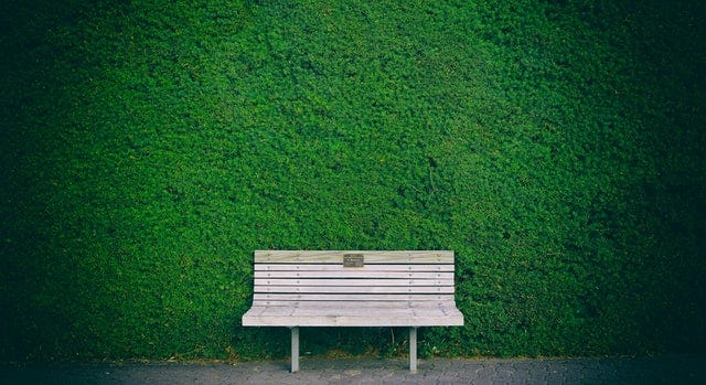 A wooden park bench in front of a tall hedge.