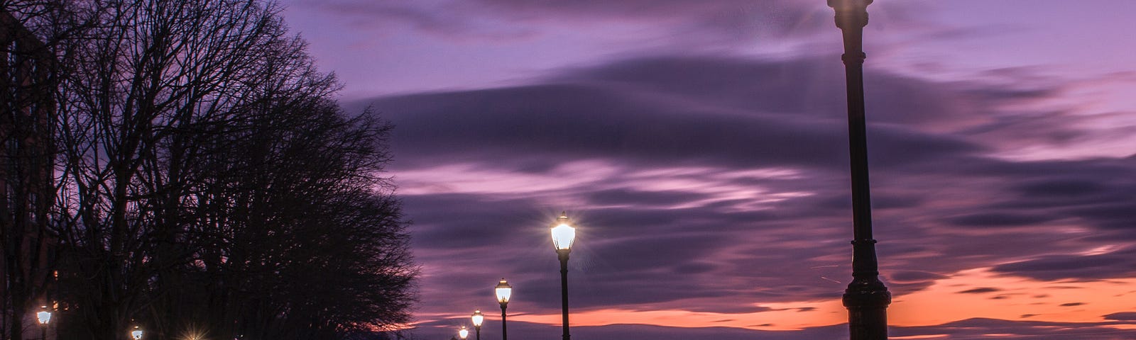 Purple tinted sky from sunset over river and street lined with lamps and trees