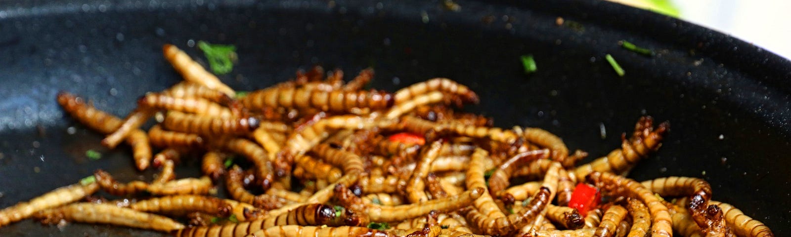 Picture of a pan with mealworms.