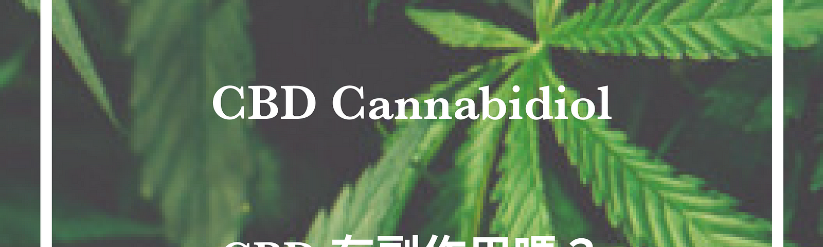 CBD台灣, CBD 香港, CBD油, CBD軟糖, CBD oil, CBD合法, CBD哪裏買, CBD憂鬱, CBD焦慮, CBD副作用, CBD癲癇, CBD失眠, CBD購買, CBD哪裏買, 大麻二酚, 漢麻, CBD 感覺, 漢麻止痛