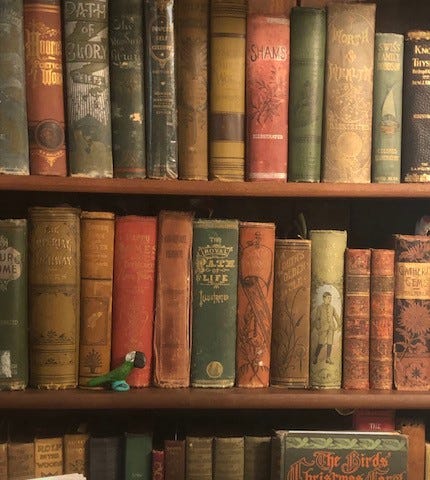 Shelves holding antique books in artistic bindings