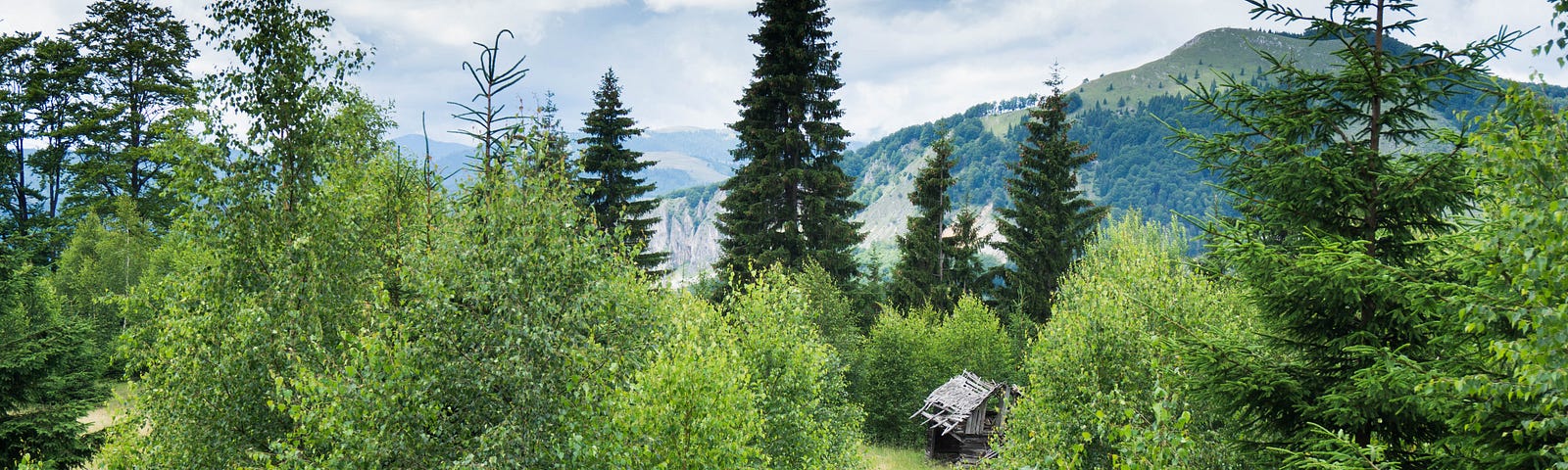 Cabin in the woods and mountains