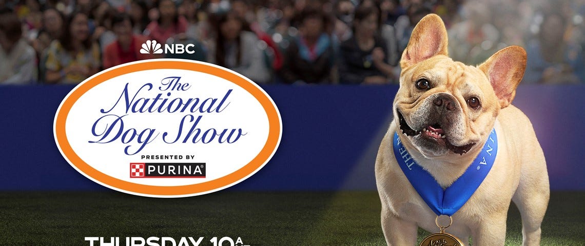 More than 3,000 canines compete for Best of Show honors at the Kennel Club of Philadelphia’s annual show.