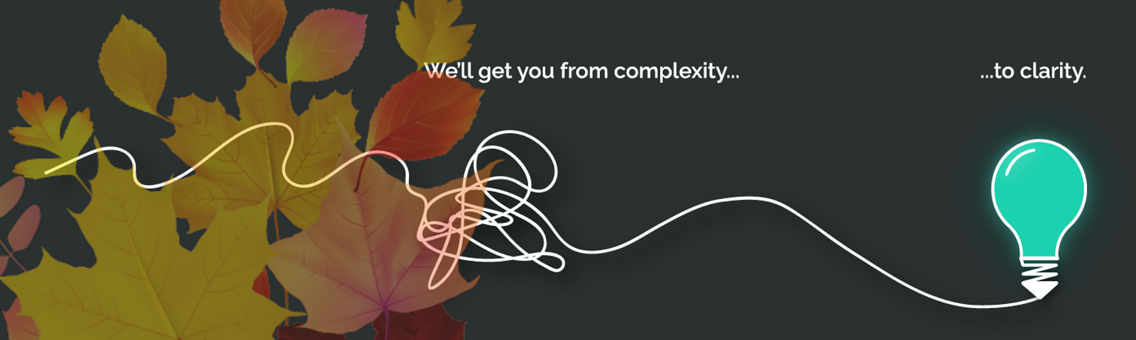 An image of fall leaves in the background behind the EchoUser logo with the caption: we’ll get you from complexity to clarity