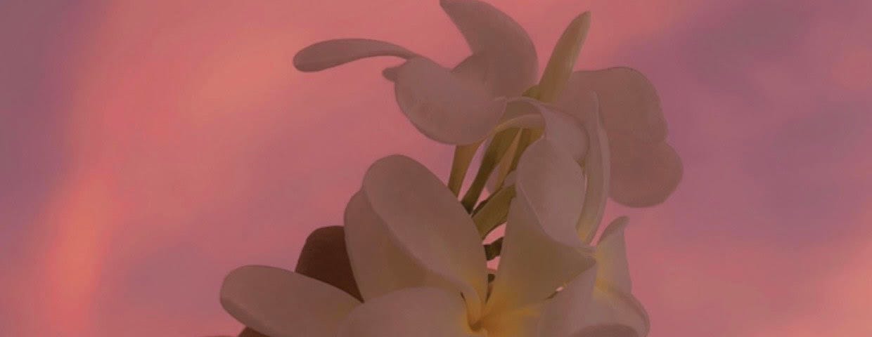 Picture snapped by author during a road trip in 2023 — Sky and Flowers!
