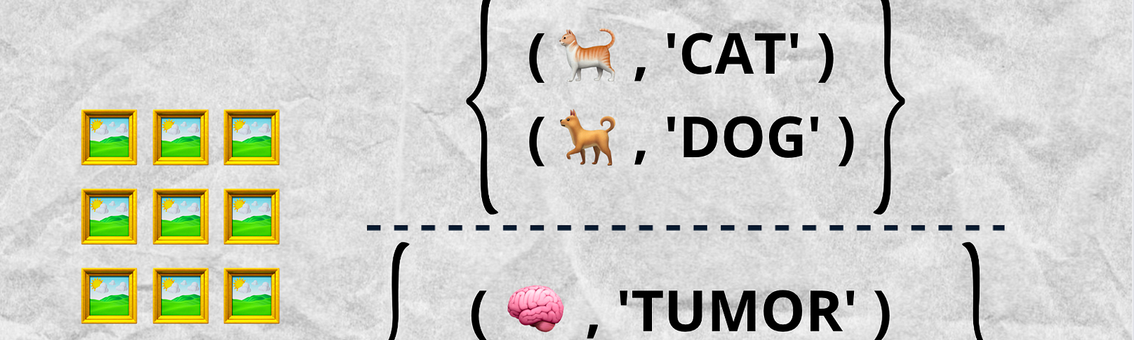 Illustration representing labeled dataset. Grid of pictures corresponding to cat image labeled as cat and dog image labeled as dog. Grid of pictures corresponding to brain MRI image labeled as tumor and brain MRI image labeled as no tumor.