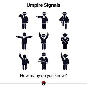 Umpire hand single in Cricket