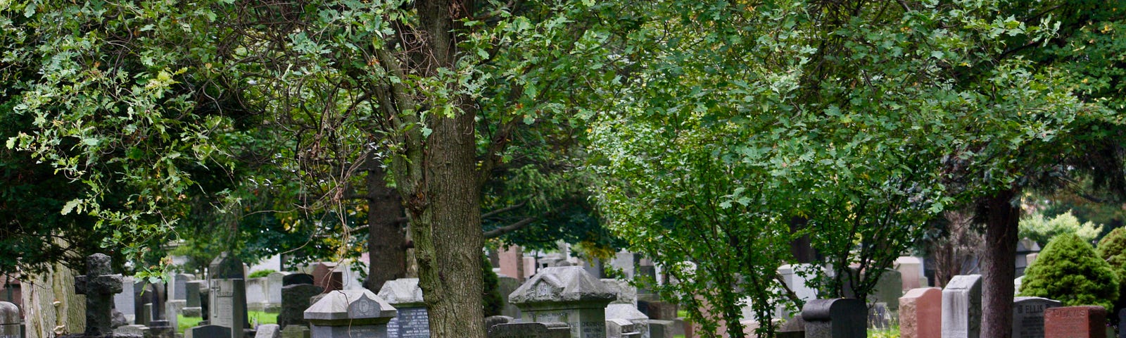 a graveyard scene. Gravestones under a tree