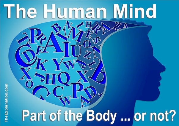 The human mind, where is it located? Is it part of the brain, or is it a network that functions throughout the body?