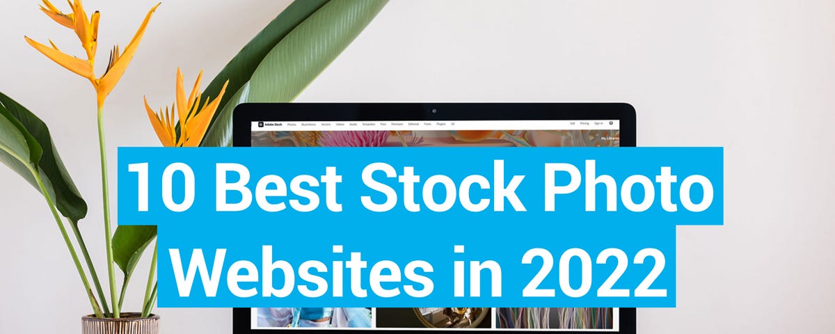 10 Best Stock Photo Websites in 2022