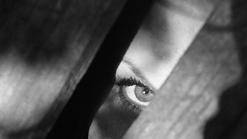 A woman spying from between two wooden boards.