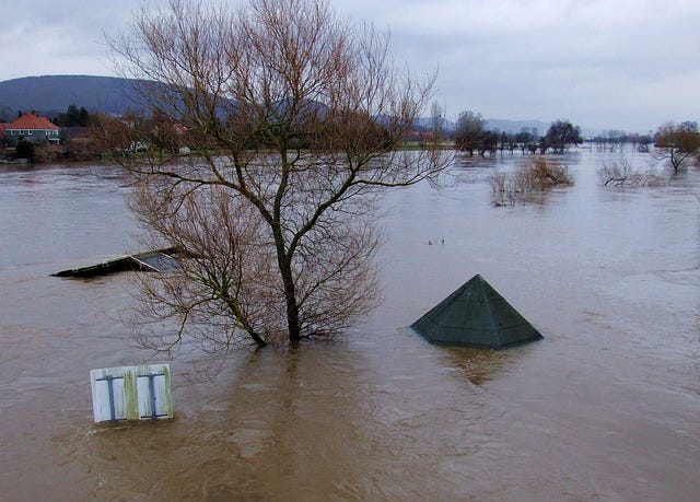 A picture of flooded water. You can see tree tops and the tops of buildings.