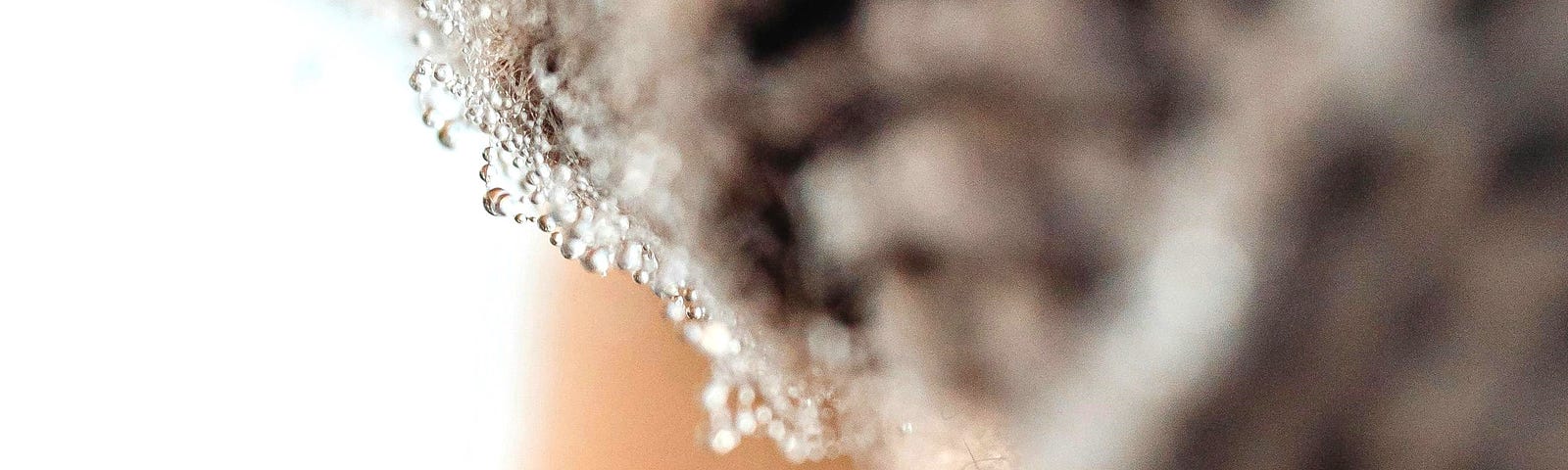 portrait of woman with melting snow dusting the tips of her eyelashes