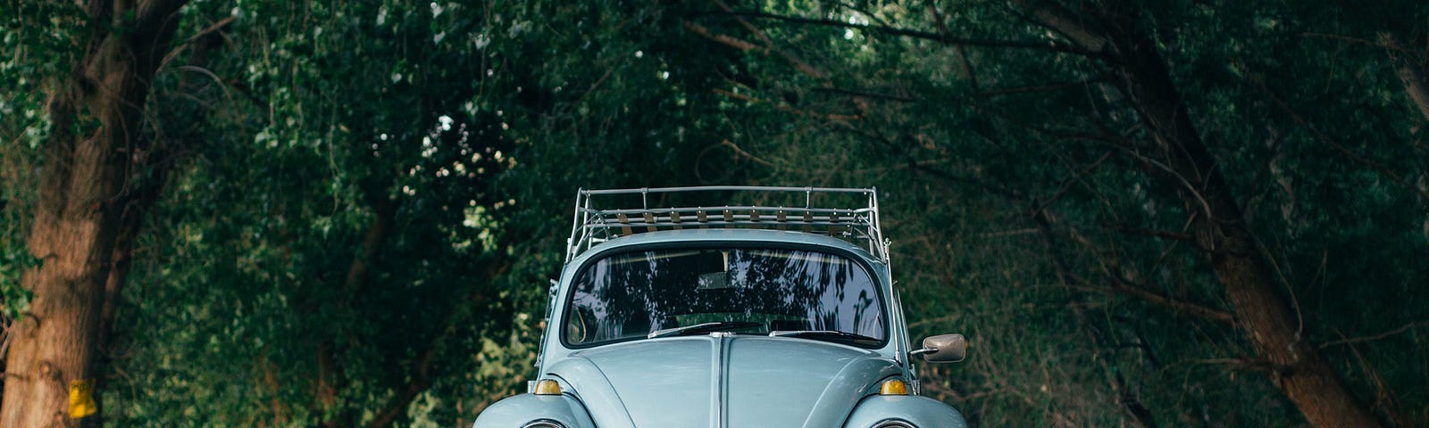 Baby-blue Volkswagen Beetle on a road with trees on either side