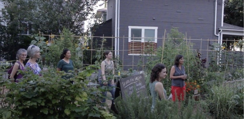 An image showing a group of women standing in the garden during the coFood Collaborative Garden’s ice cream social in July, all of them looking away from the camera.