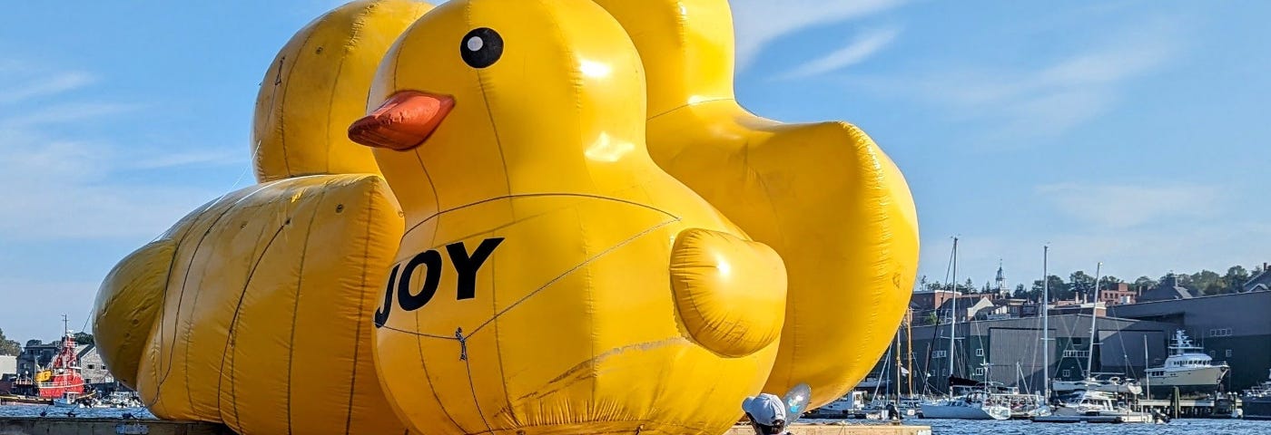 A paddler in a long, yellow sea kayak approaches a set of huge inflatable yellow ducks.